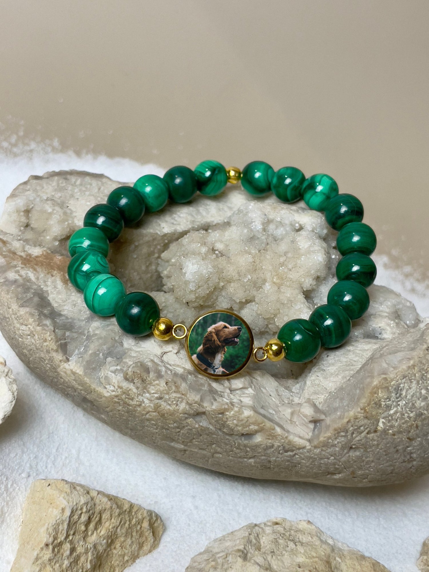 Nos bracelets Hommage à un fidèle compagnon